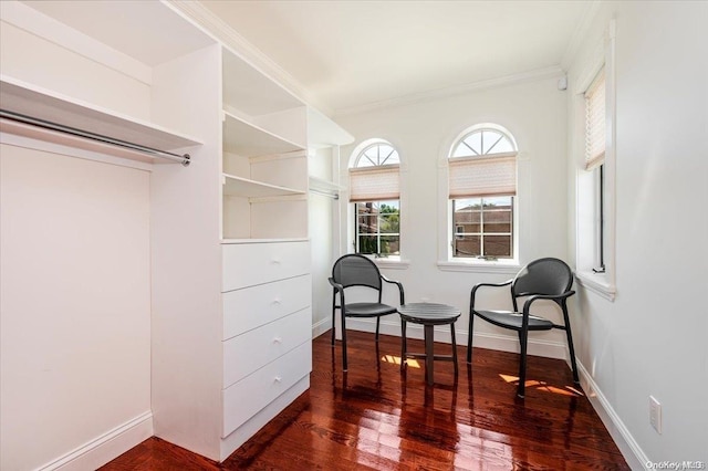 spacious closet with dark hardwood / wood-style flooring