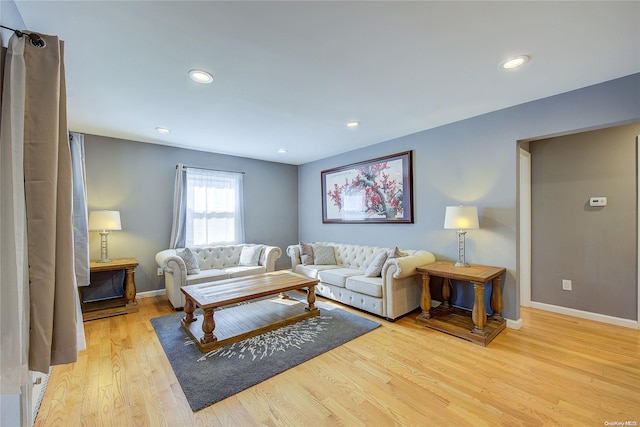 living room featuring light hardwood / wood-style flooring