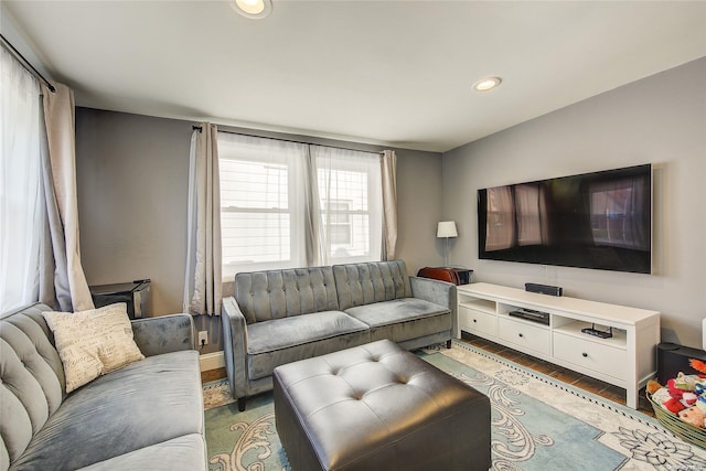 living room featuring wood-type flooring