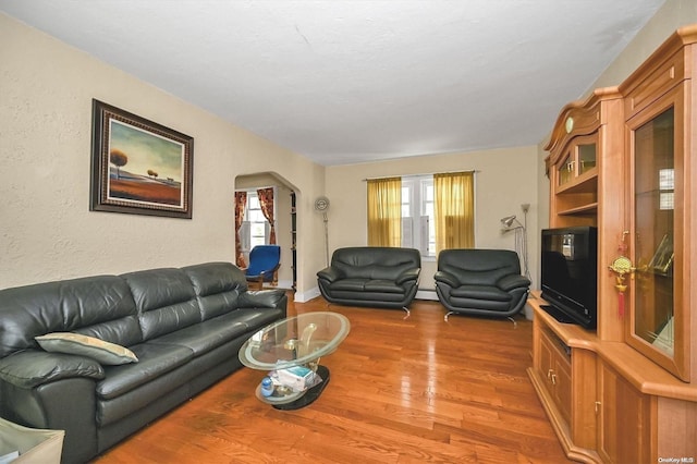 living room featuring wood-type flooring