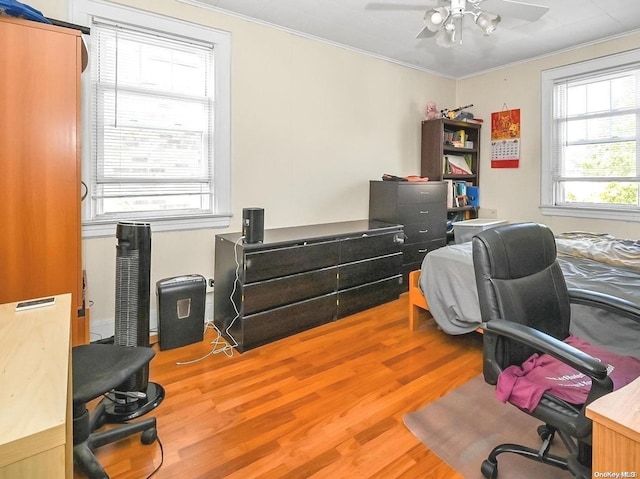 home office with crown molding, ceiling fan, and wood-type flooring