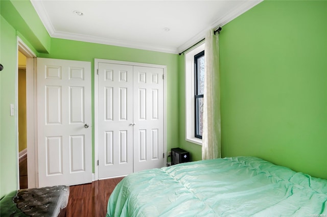 bedroom featuring crown molding, dark wood-type flooring, and a closet