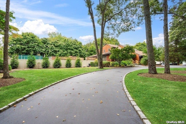 view of community featuring a lawn