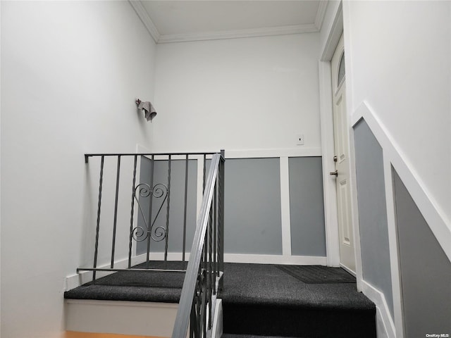 stairway with carpet floors and crown molding