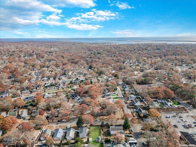 Maplewood Dr, Shirley, NY 11967 - photo 9