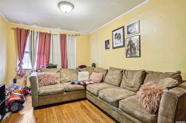 living room with crown molding and light hardwood / wood-style flooring