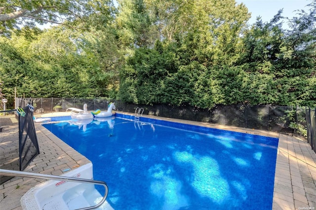 view of swimming pool with a patio