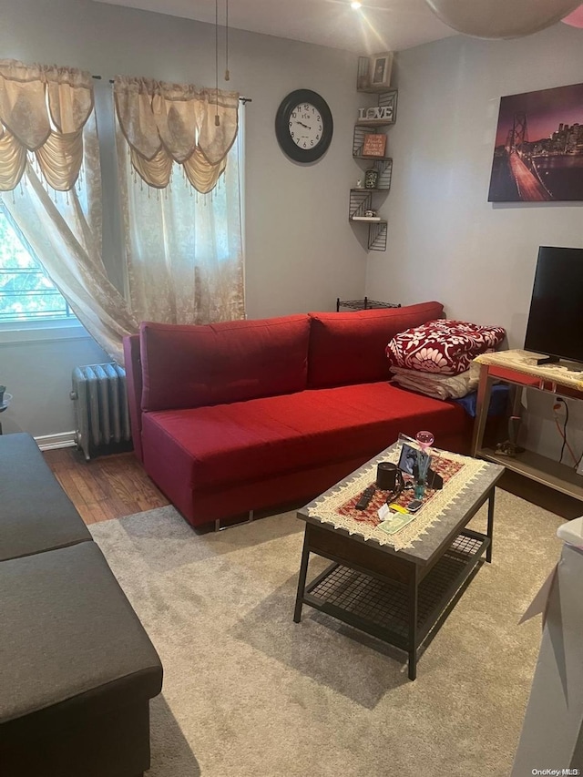 living room with radiator and hardwood / wood-style flooring