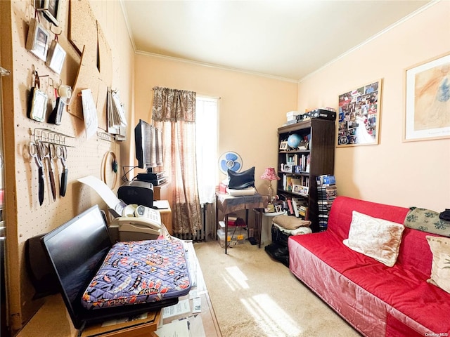 living area with carpet flooring and crown molding