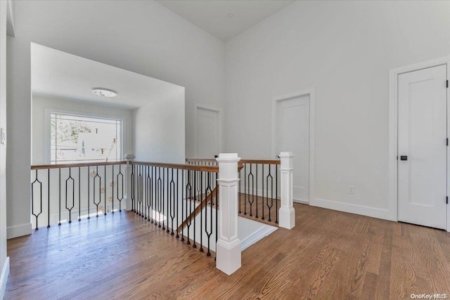 hallway featuring wood-type flooring and a high ceiling