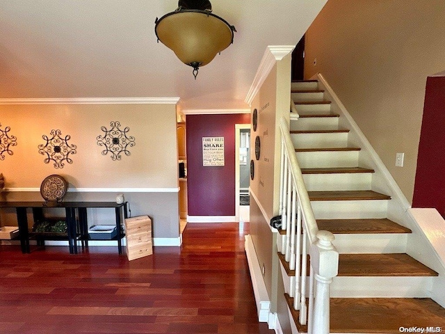 foyer featuring dark hardwood / wood-style flooring and ornamental molding