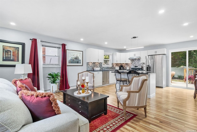 living room featuring a healthy amount of sunlight and light hardwood / wood-style floors