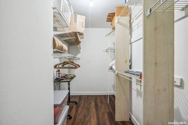 walk in closet with dark hardwood / wood-style floors