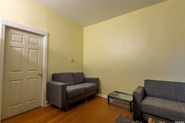 living area featuring wood-type flooring