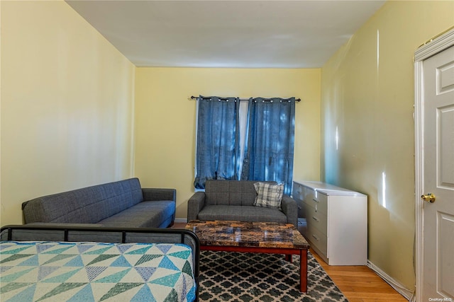 living room with light hardwood / wood-style flooring