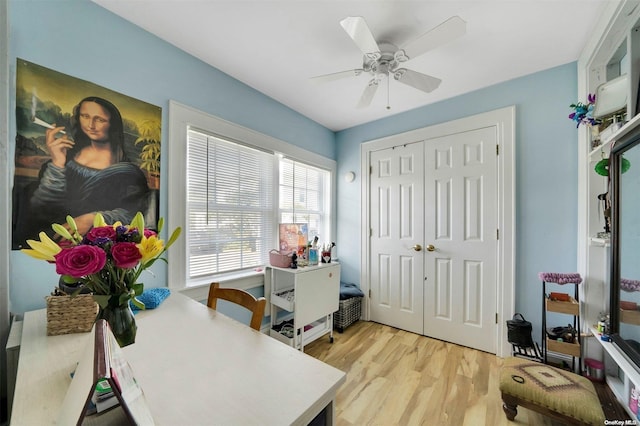 office featuring ceiling fan and light hardwood / wood-style flooring