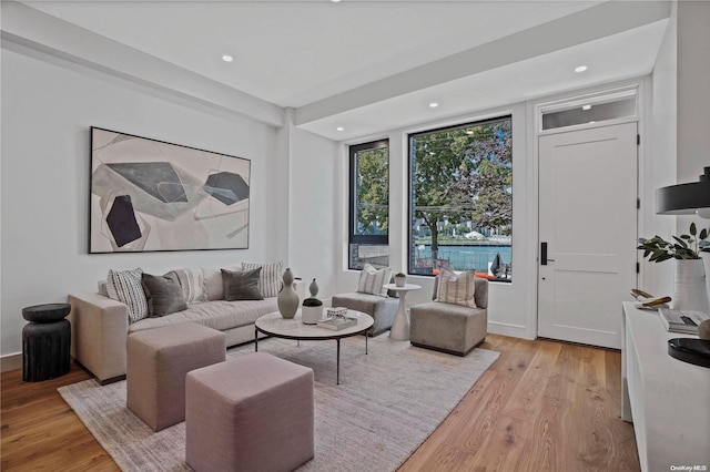 living room with light hardwood / wood-style flooring