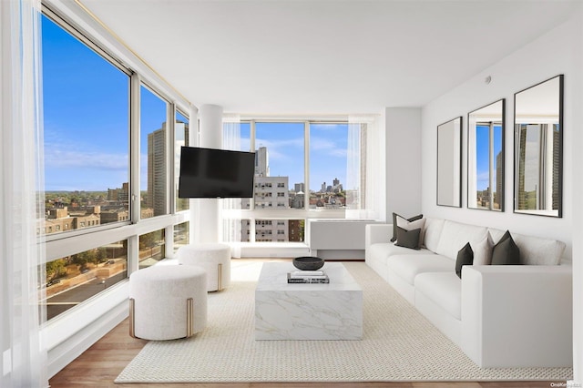 living room featuring hardwood / wood-style floors