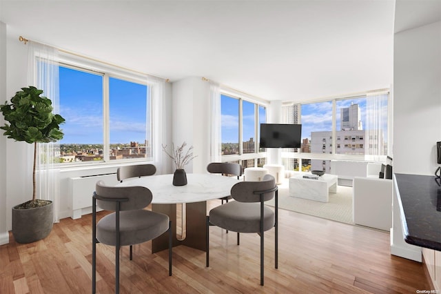 dining space featuring light hardwood / wood-style floors and a wealth of natural light