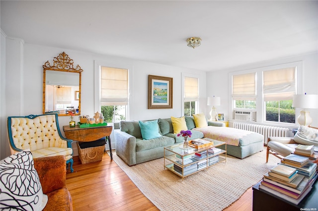 living room with hardwood / wood-style flooring and radiator heating unit