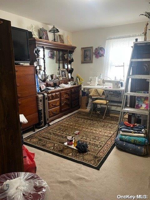 misc room with carpet floors