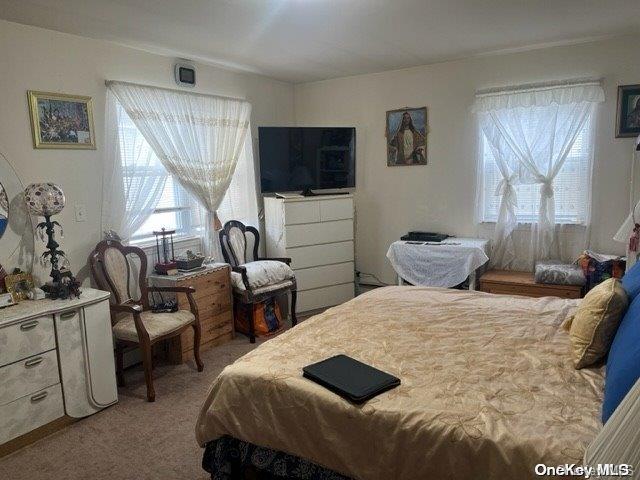 bedroom with carpet flooring