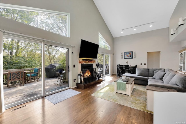 living room featuring high vaulted ceiling, track lighting, and hardwood / wood-style flooring