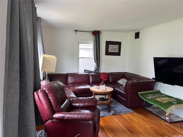 living room with wood-type flooring