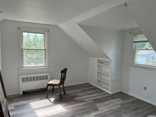 bonus room featuring radiator heating unit, dark hardwood / wood-style flooring, and a wealth of natural light