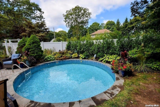 view of swimming pool