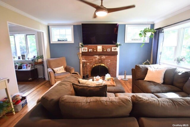 living room featuring a fireplace, light hardwood / wood-style floors, ceiling fan, and crown molding