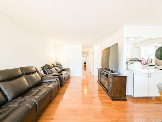 living room featuring light hardwood / wood-style flooring