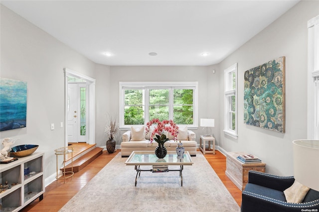 living room with hardwood / wood-style floors