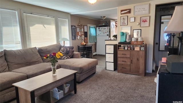 living room featuring carpet flooring