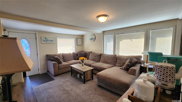 living room with dark wood-type flooring and a healthy amount of sunlight