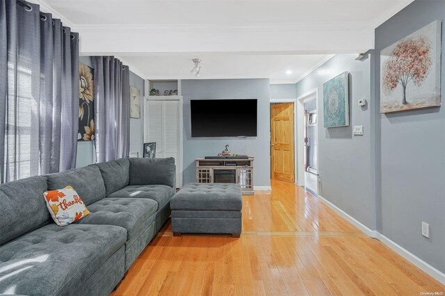 living room with hardwood / wood-style flooring and crown molding