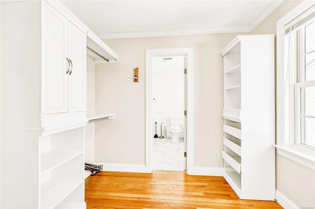 walk in closet with light hardwood / wood-style flooring