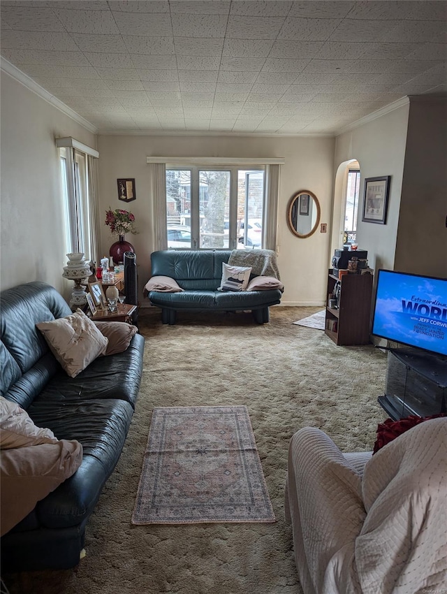 carpeted living room with ornamental molding