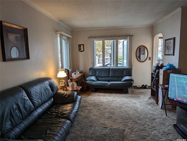 carpeted living room with ornamental molding