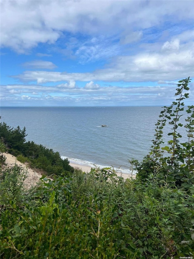 property view of water featuring a view of the beach