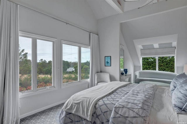 bedroom featuring lofted ceiling