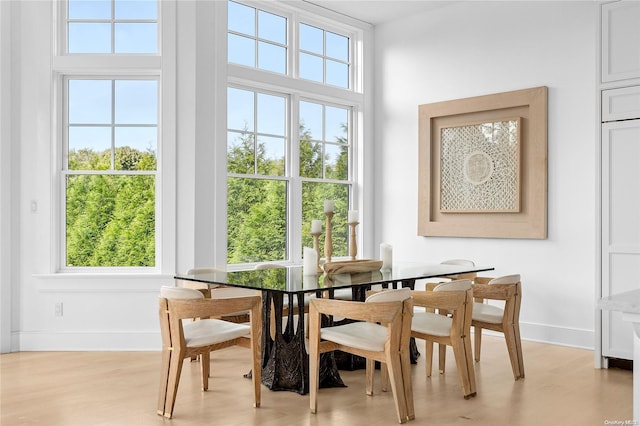 dining space featuring a healthy amount of sunlight and light hardwood / wood-style floors