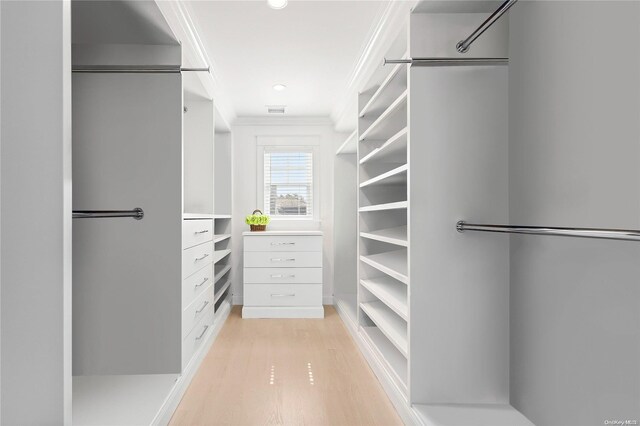 spacious closet with light hardwood / wood-style flooring