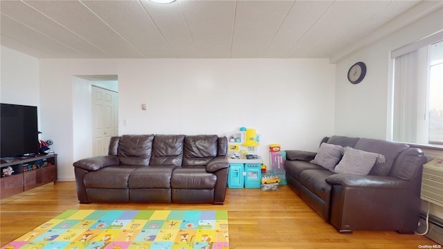 living room featuring light hardwood / wood-style flooring