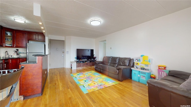 living room with light wood-type flooring and sink