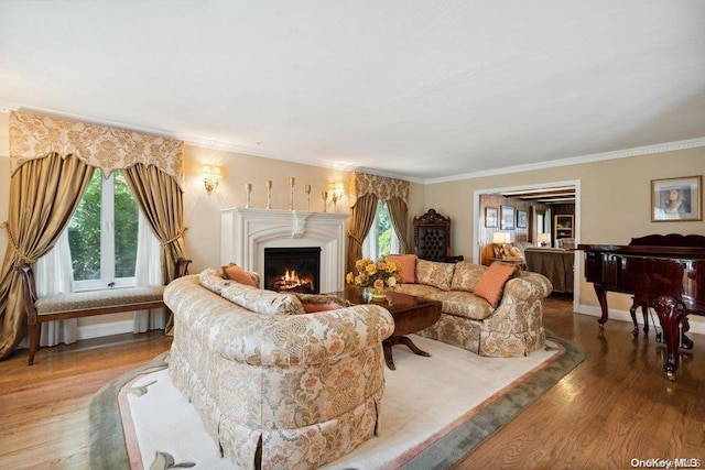 living room with wood-type flooring and ornamental molding