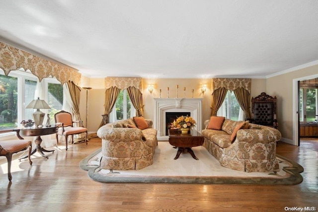 living room with hardwood / wood-style floors, ornamental molding, and a healthy amount of sunlight