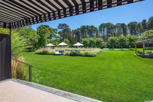 view of yard with a patio