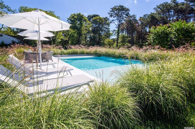 view of swimming pool featuring a patio area