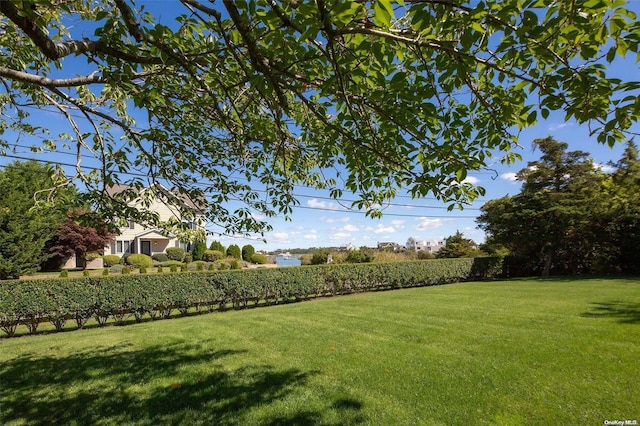 view of yard featuring a rural view